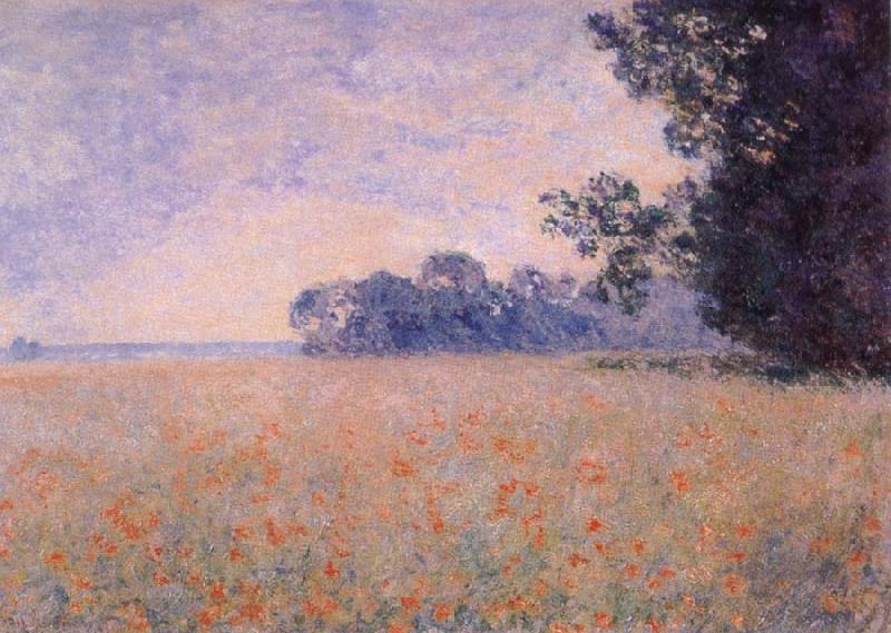 Claude Monet Oat and Poppy Field China oil painting art